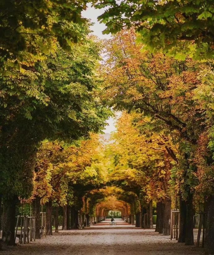 散文：余生，用人生理想，梦的丰满，对抗现实生活的骨感