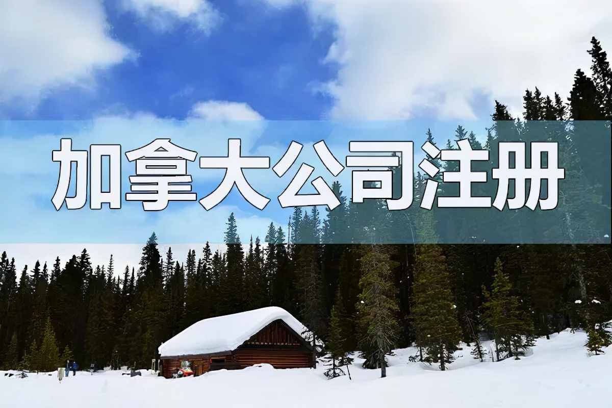 在加拿大注册公司要办什么手续以及需要多少钱