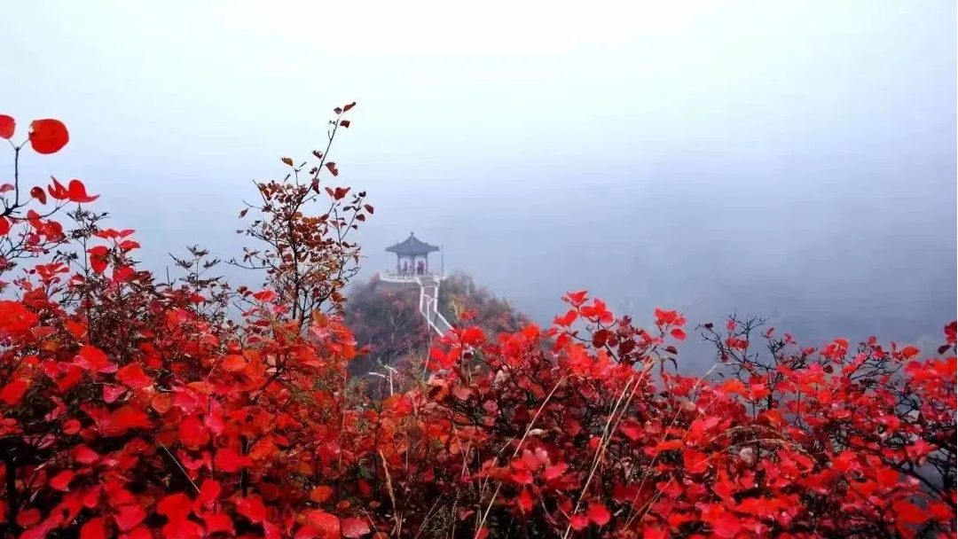北京旅游点有哪些景点(中国旅游点有哪些景点)