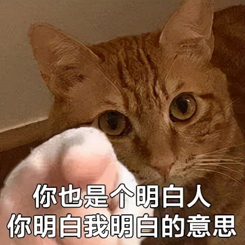 把厨房放进“壶”里！蒸炖煮一机搞定，堪称上班族养生神器