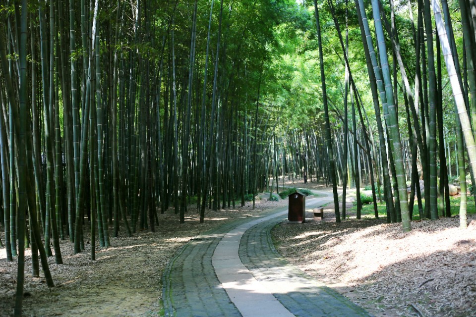 苏州旅游值得推荐的景区之―虎丘山风景区