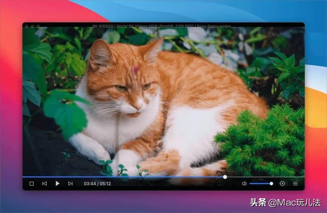 恒星播放器:免费好用的高清视频播放器
