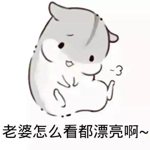 惹女朋友生气了怎么办？哄她开心的表情包来了，男生们快来收图