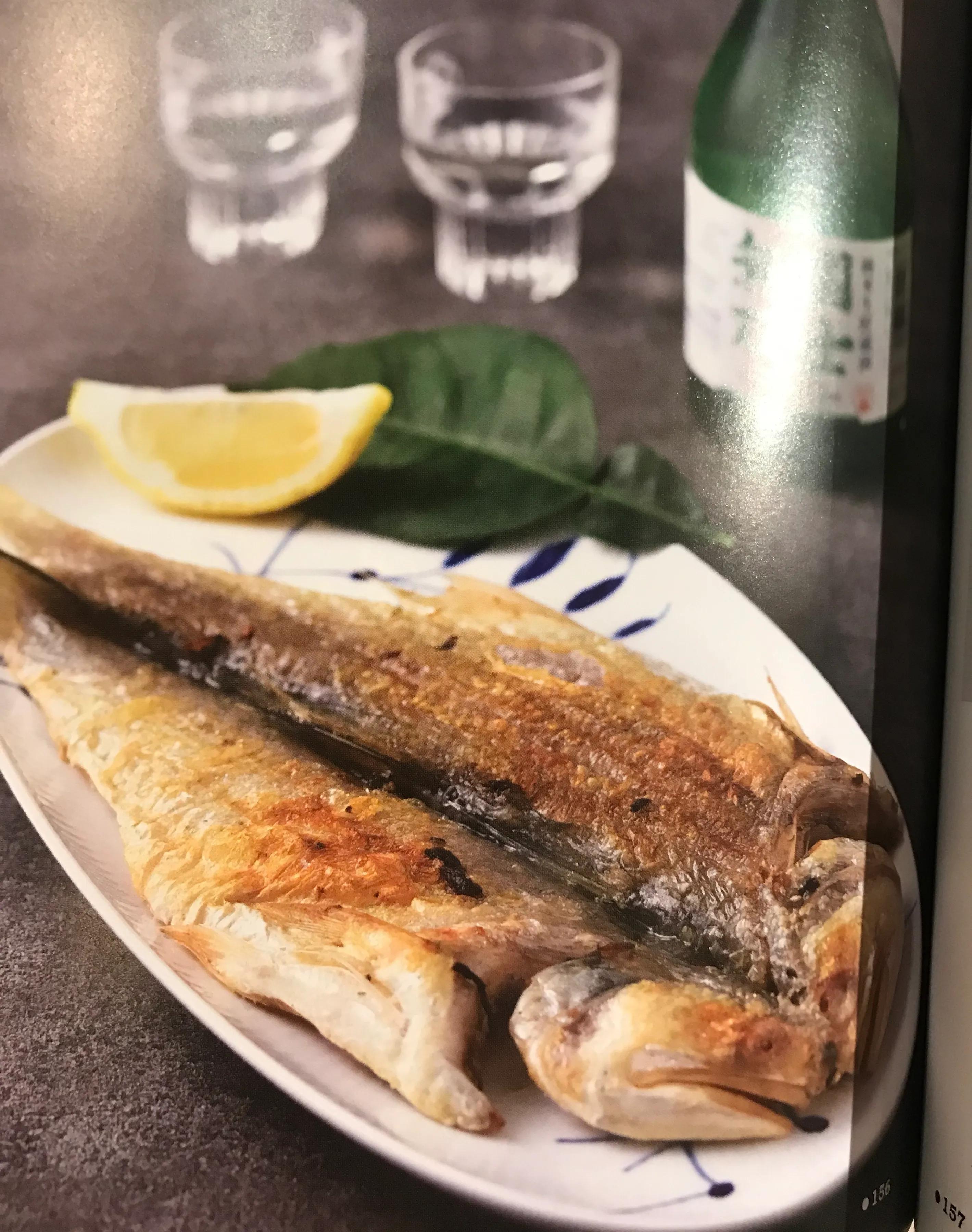 马友鱼,学名四指马鲅,属鲻形目,马鲅科,是我国东南沿海具有较高经济