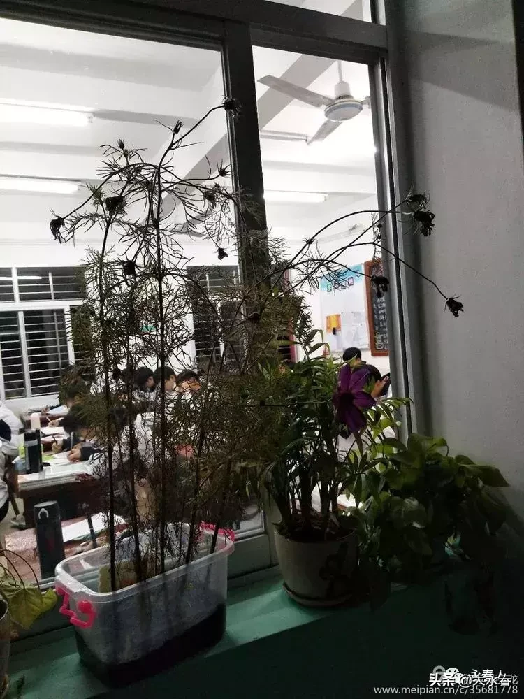 美哉！我们的永春三中