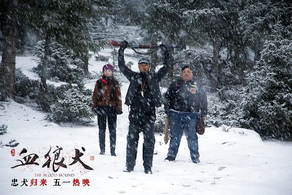 雪狼犬相关电影好看吗（真是一部血性又有温度的电影）