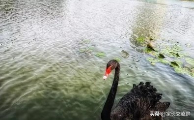 江南大学----一所可能“不适宜”学习的高校