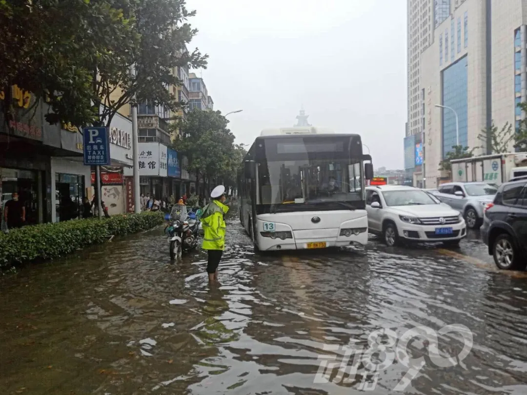 襄阳车主注意！这些违法行为全免单