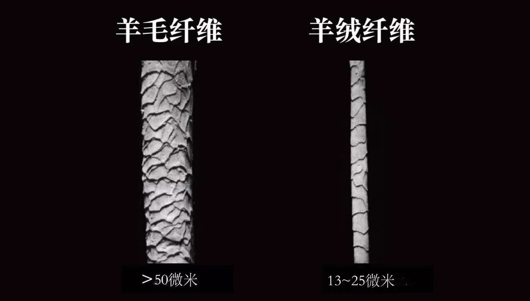 羊绒衫水深、价格又高，到底怎么选不上当？（含量、针数、品牌）