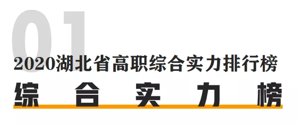 湖 北 高 职 综 合 实 力 排 行 榜