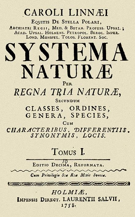 的《自然系统》一书中正式给予了丹顶鹤这个grus japonensis的学名