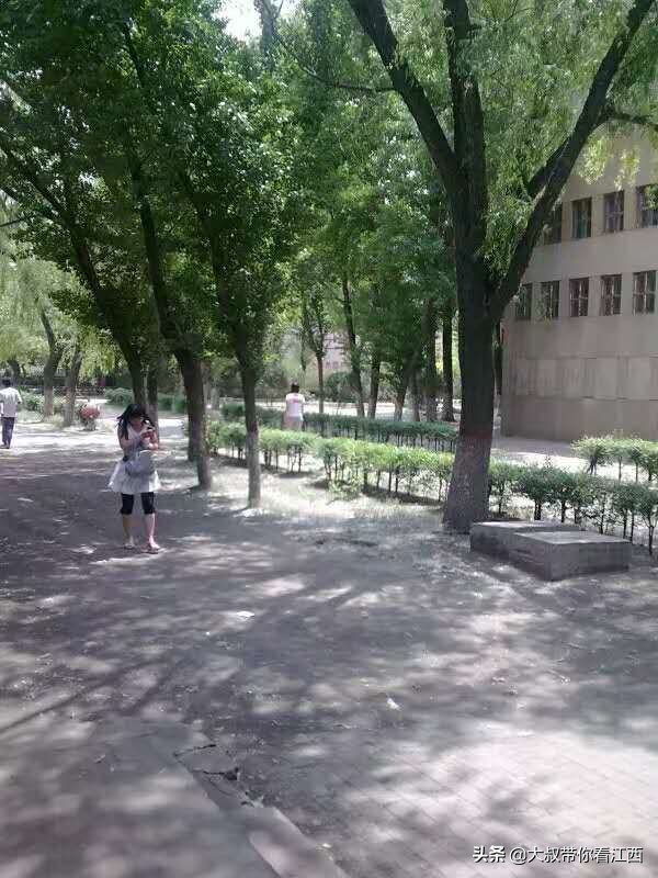 大同医专校园回忆