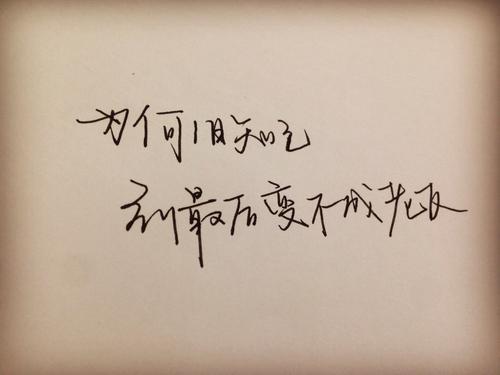 奥迪A6 1.8T发动机：熟悉与陌生的完美融合