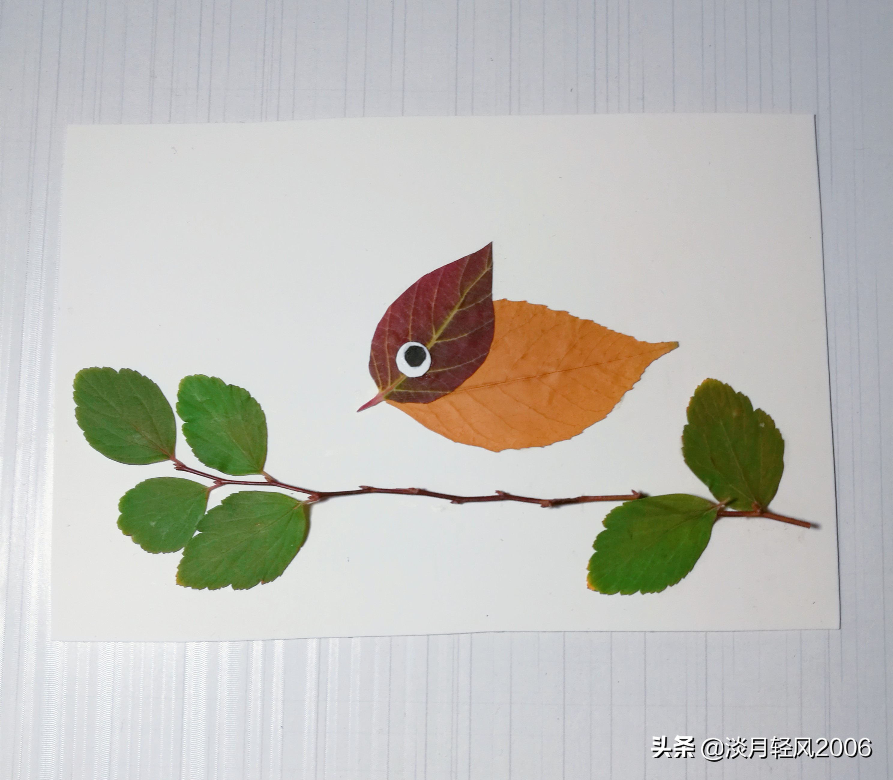 用树叶做的手工贴画简单可爱的叶贴小鸟教程