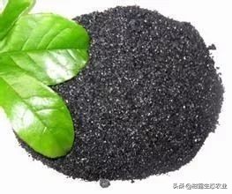 腐植酸，就是这么牛！如何挑选优质的腐植酸肥料