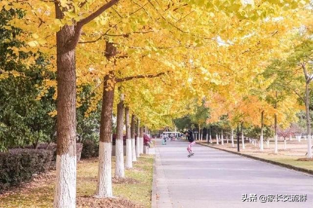 江南大学----一所可能“不适宜”学习的高校