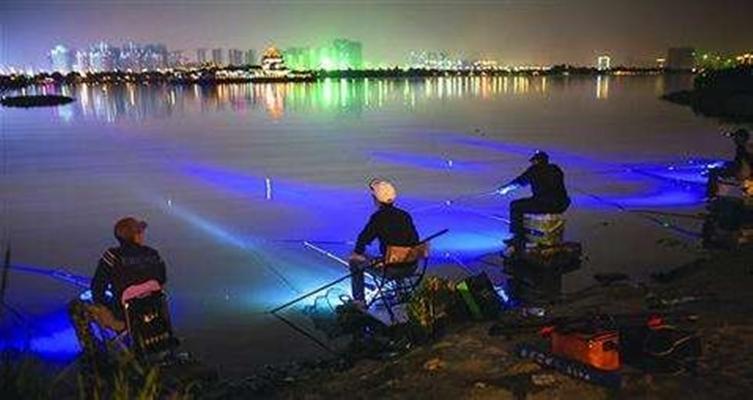 夜钓鲫鱼最佳时间（夏季钓鱼夜钓就是首选）