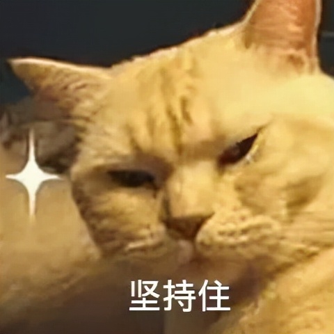 真样减肥运动最快(减肥比较快的运动)