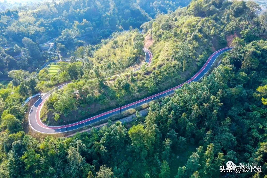 藏在韶关市中心森林里的儿童公园，大部分人都不知道，光速安排