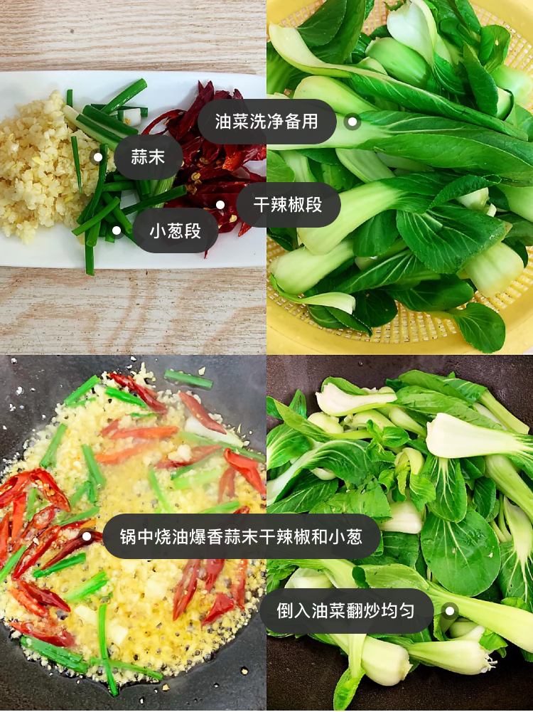 油菜怎么做好吃,油菜怎么做好吃家常菜