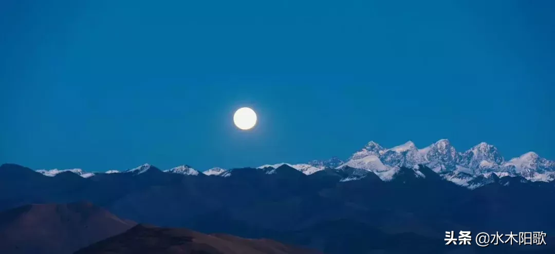 最全：有关增值税的账务流程处理