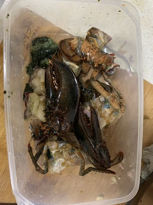 广东姜葱炒龙虾的做法（手把手教你如何烹饪炒姜葱龙虾）