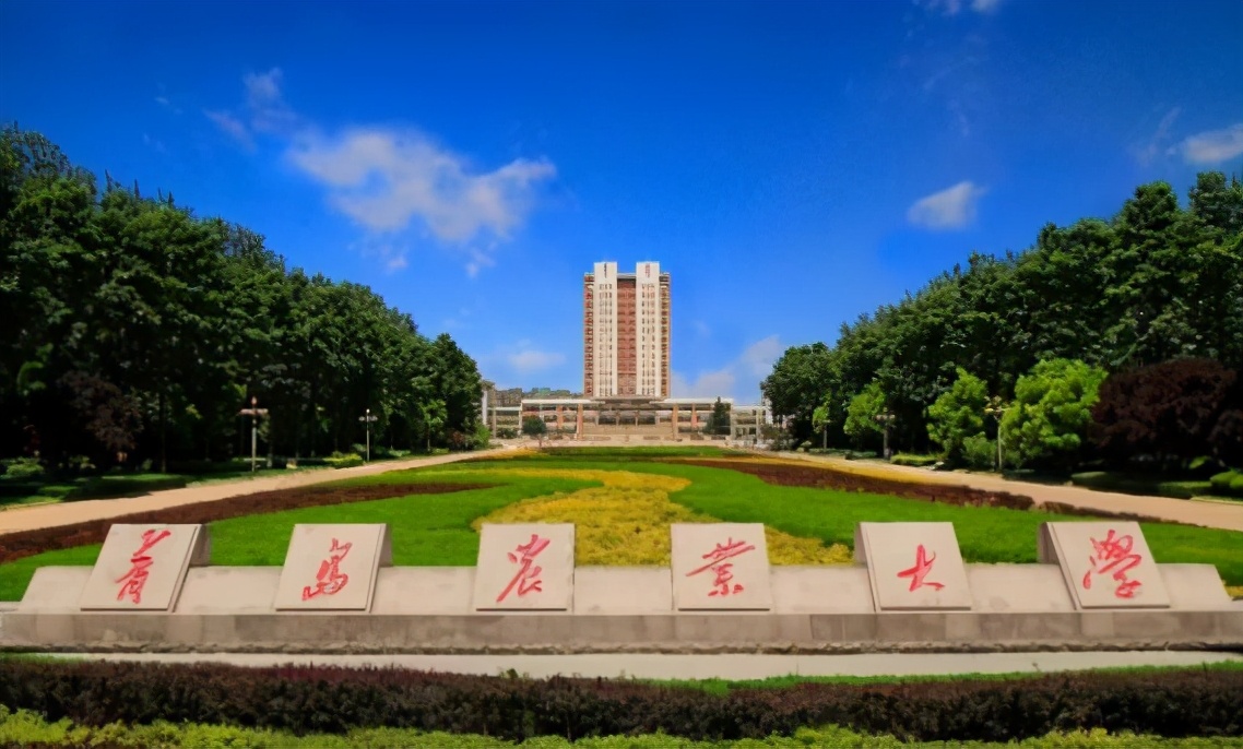 考得好也要报得好！@山东考生，山大、海大、青大……高校招生预估分数线来了！你钟意哪一所？