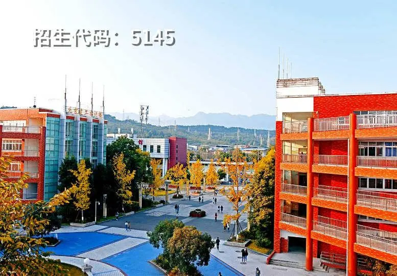 2020年学前教育成香饽饽，四川10余所学校将进行单独招生