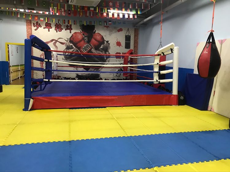 上海嘉定区名扬少年格斗馆