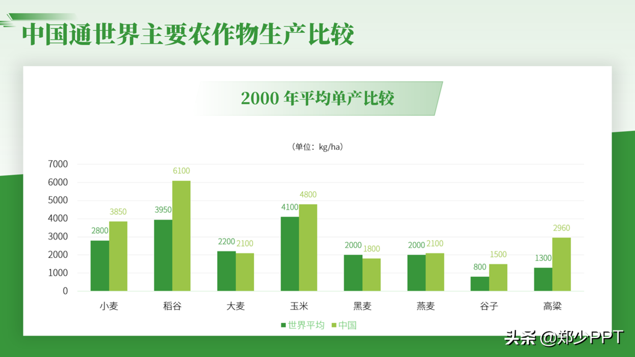 用了2个小时，设计了一份农作物栽培PPT，同事说效果很赞