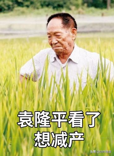 烂脸算什么！用了小红书上的坑爹减肥法，命可能都要没了