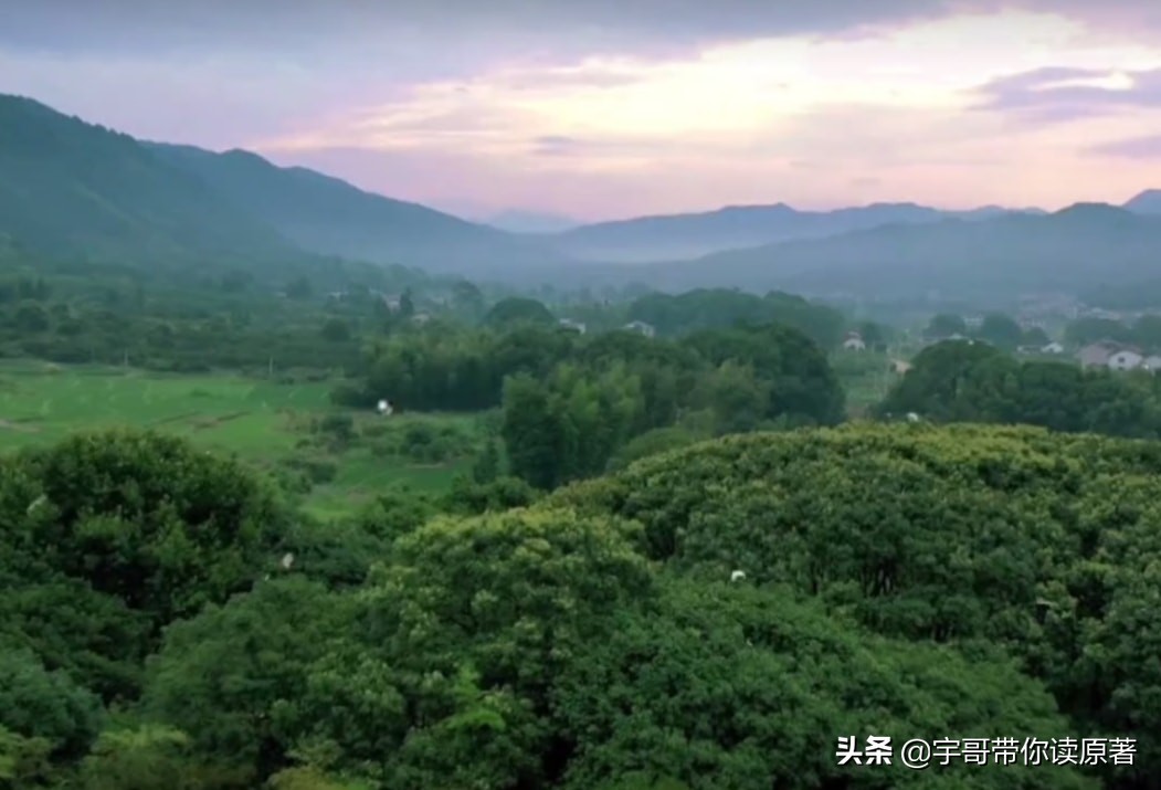 何炅综艺(芒果台太牛了！何炅离开汪涵顶上，《云上的小店》这个综艺不简单)