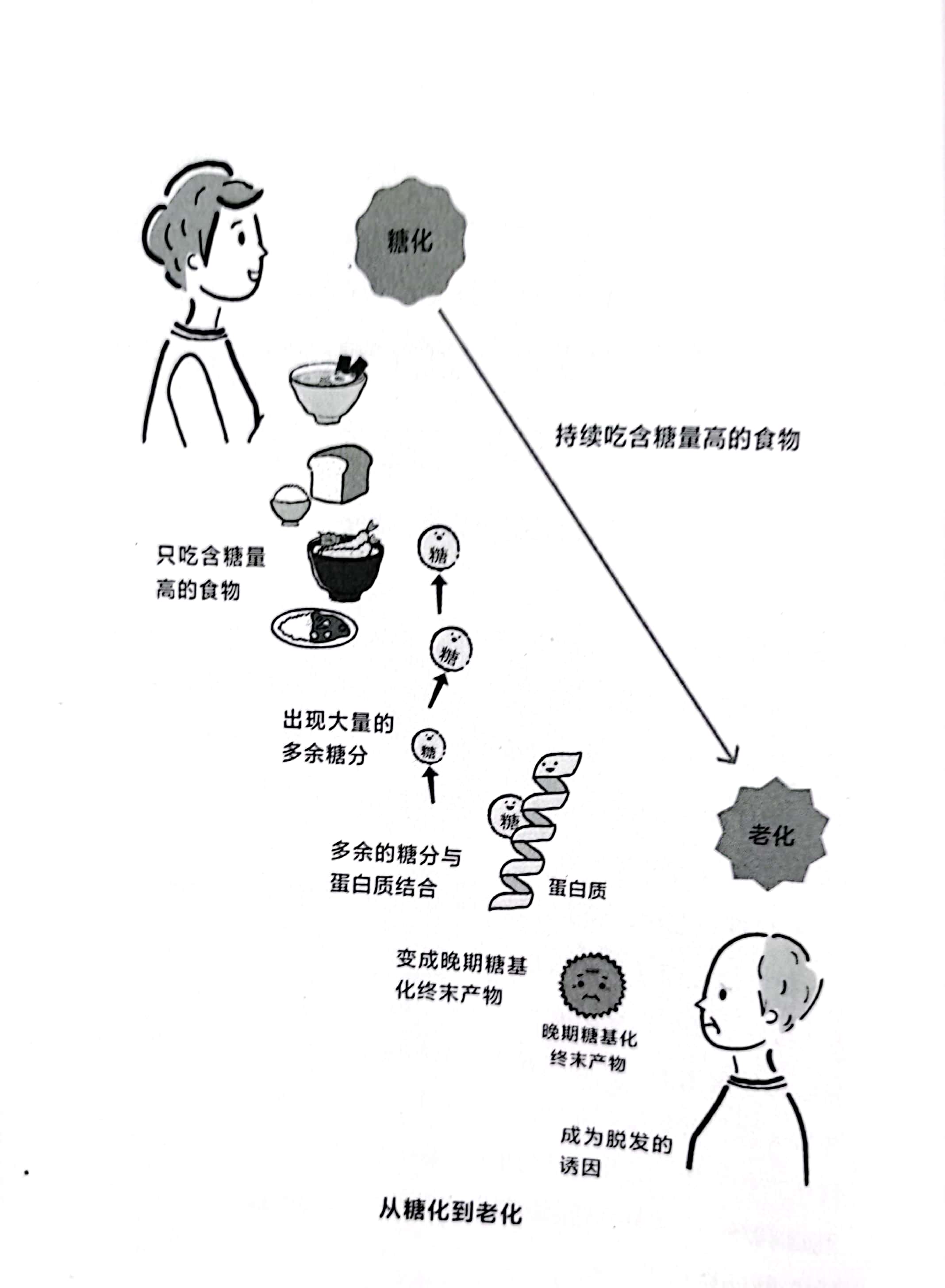 爸爸，为什么你没有头发？我这叫聪明绝顶