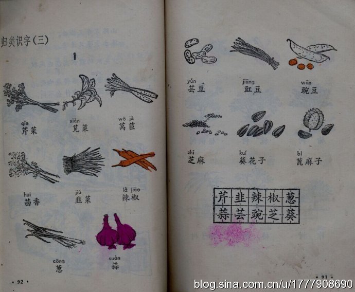 80后一代人的求学记忆：1987-1988年人教版五年制小学语文全集