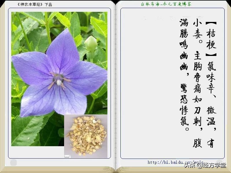 《神农本草经》全册图文解析 建议收藏