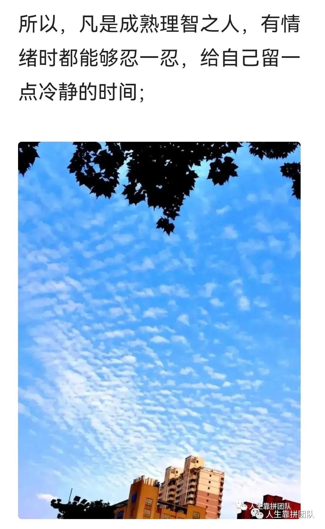 建筑业资质证书,建筑业资质证书查询网