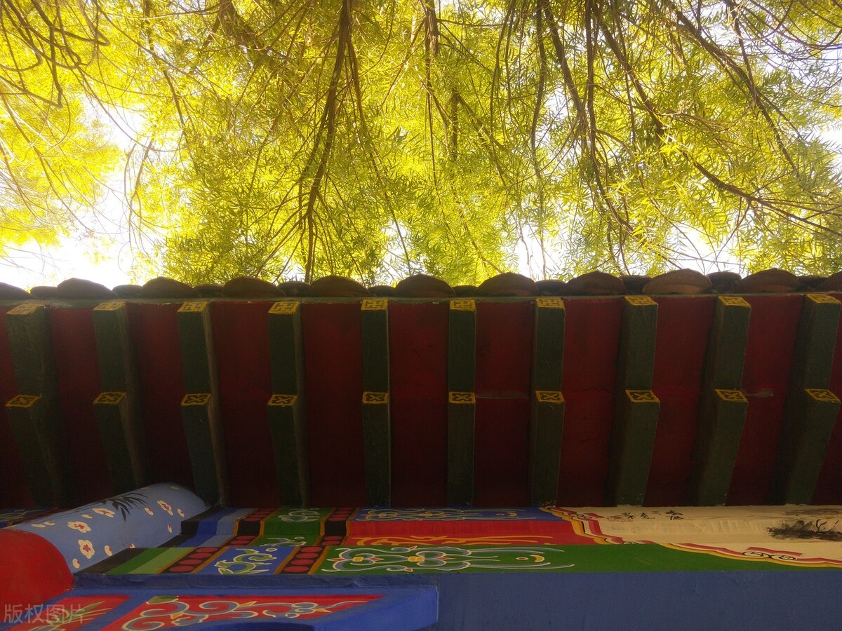 被名字“坑了”的四所大学，实力“个顶个的牛”，但看名字很一般