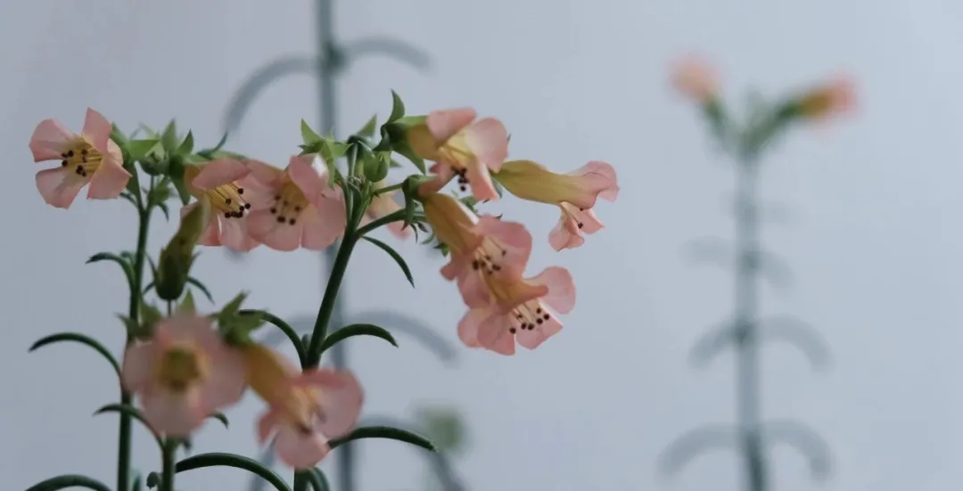 90��ѧ������ߣ���Ȼ��һ�ף���ҵ2�꣬ȫ���������ֲ���10��