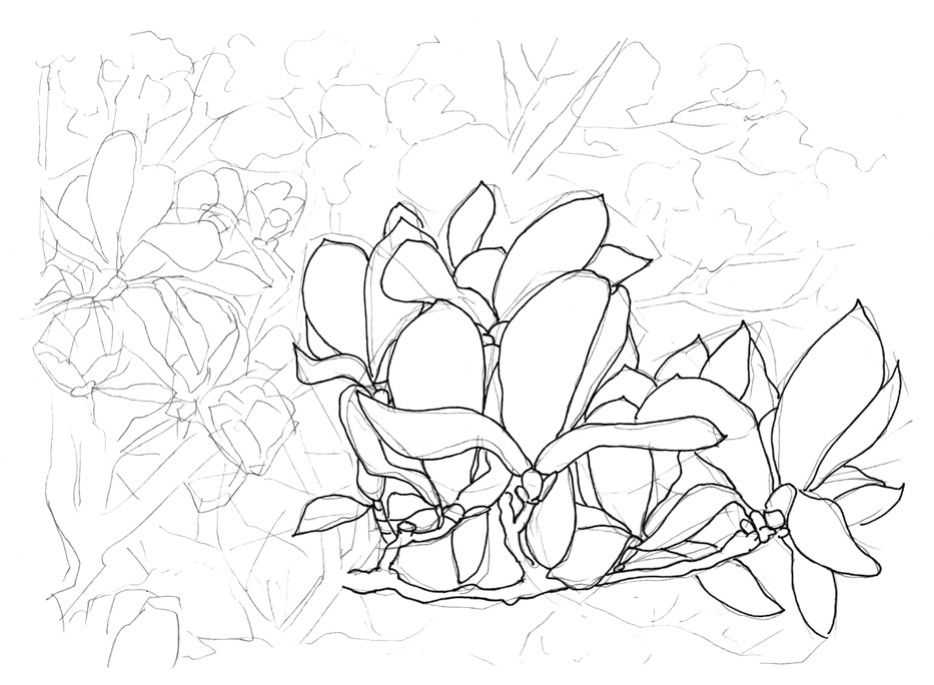 零基础钢笔画教程:分步骤讲解两种乔木画法,简单易学,快来临摹