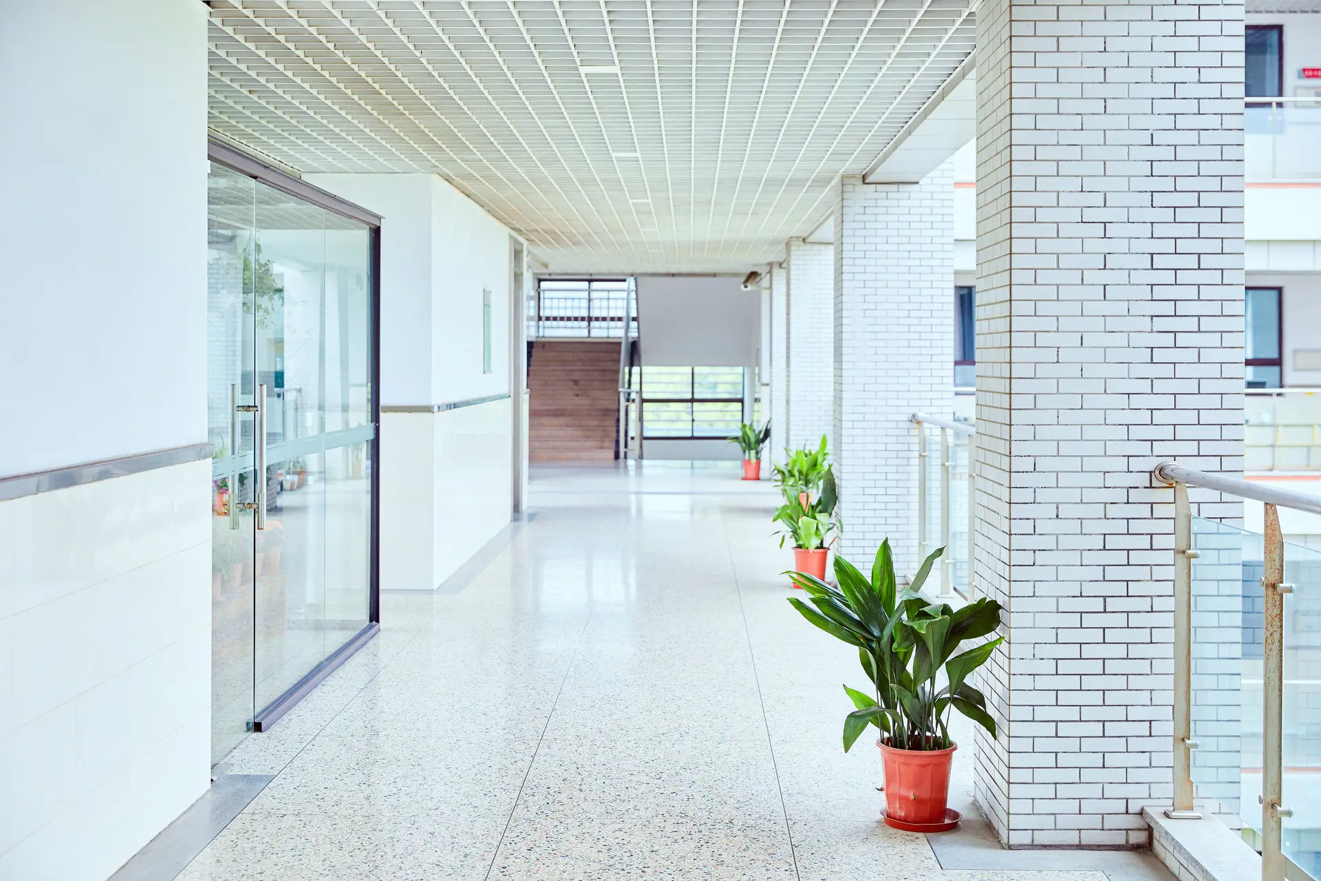 专升本需要考些什么科目（专升本考试难度大吗）