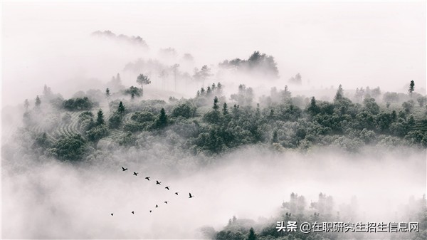 上海对外经贸大学开设的在职研究生课程班学费贵吗？