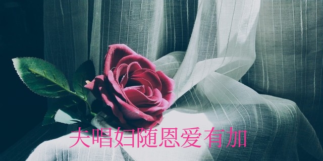 看高情商女人如何用“一碗馄饨”打发小三，让老公迷途知返？