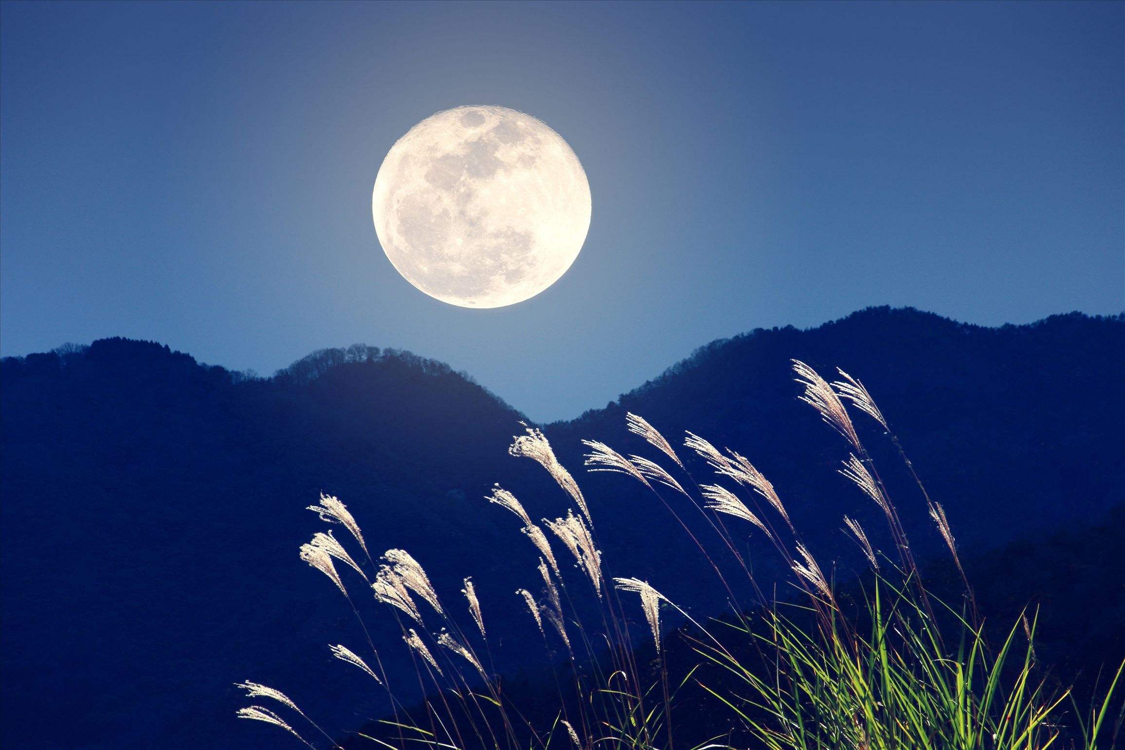 中秋圆月挂在天空中 皎洁月光洒在地上 像轻纱一样温柔