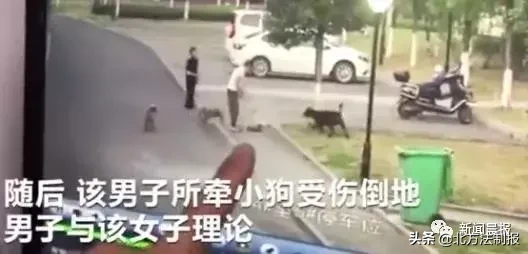 女子遛3只狗不牵绳！湖北男子遭狗撕咬下体受伤严重，缝了30多针