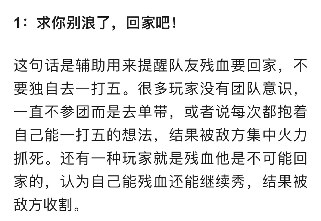 王者荣耀辅助最想说的话，别浪了快回家、还不上？大招是有CD的