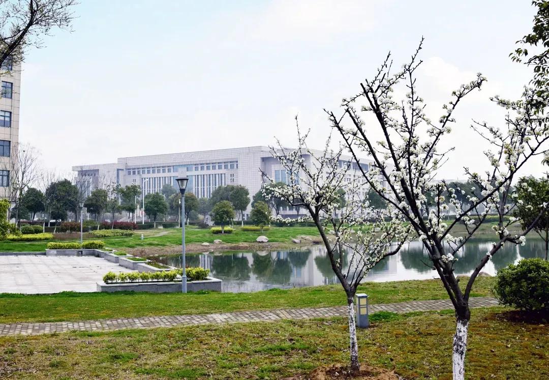 江苏省高校（五十一）南京航空航天大学金城学院