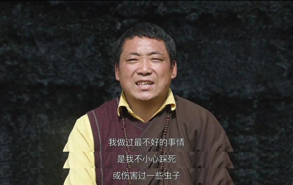 宅家不开心的城市人，都该看看这部神级国产纪录片