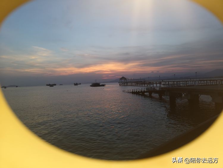 西沙~南海中的一片莲