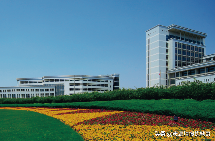 上海大学211（上海大学211大学名单）