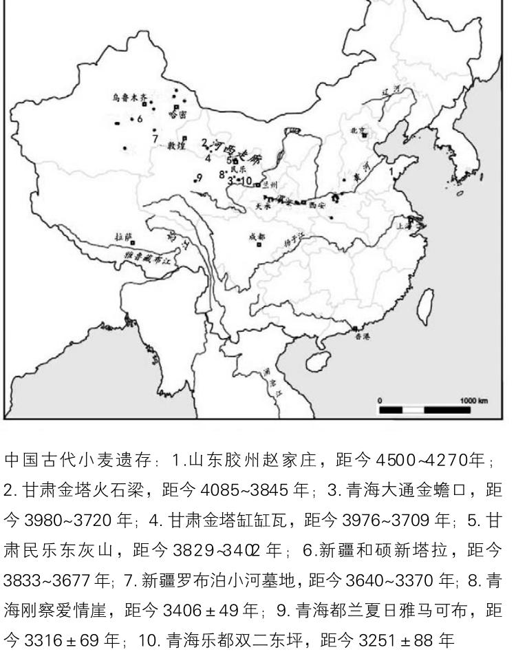 中国小麦、麺、石磨的演化历史探究